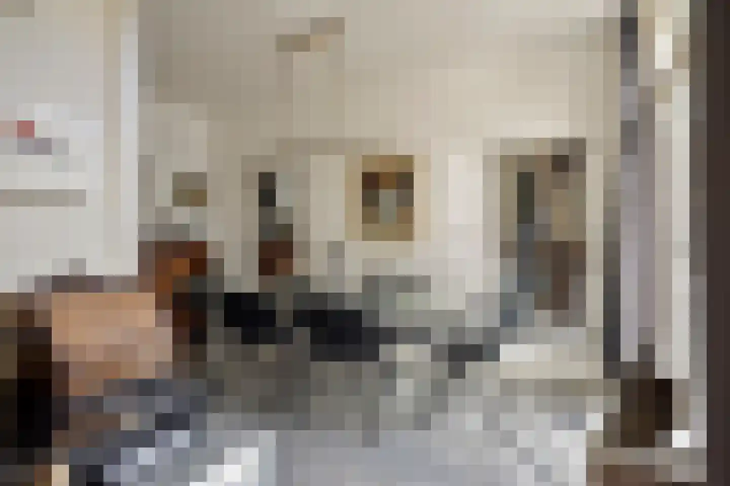 Looiersdreef 671 Apeldoorn thumbnail 12
