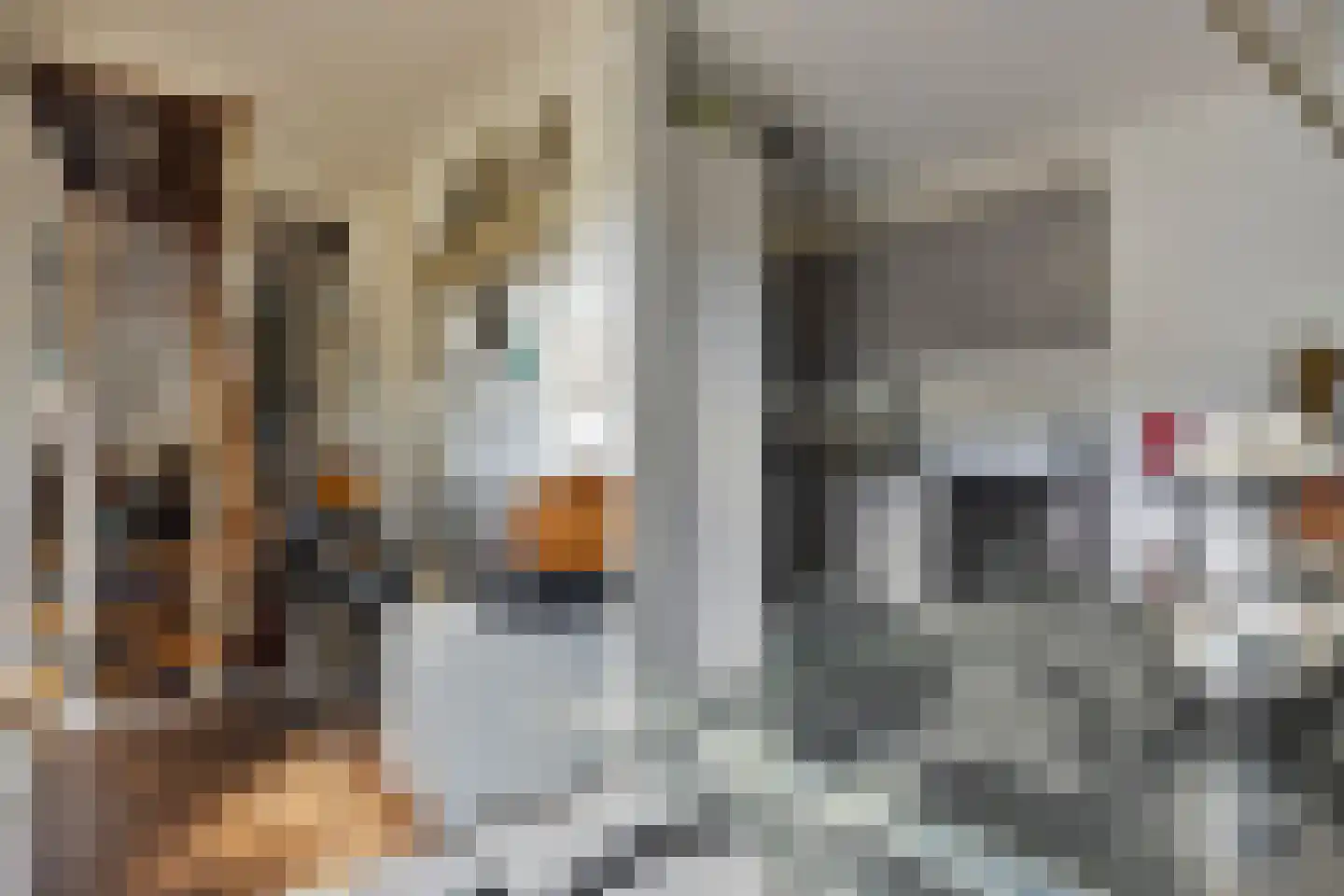 Looiersdreef 671 Apeldoorn thumbnail 16