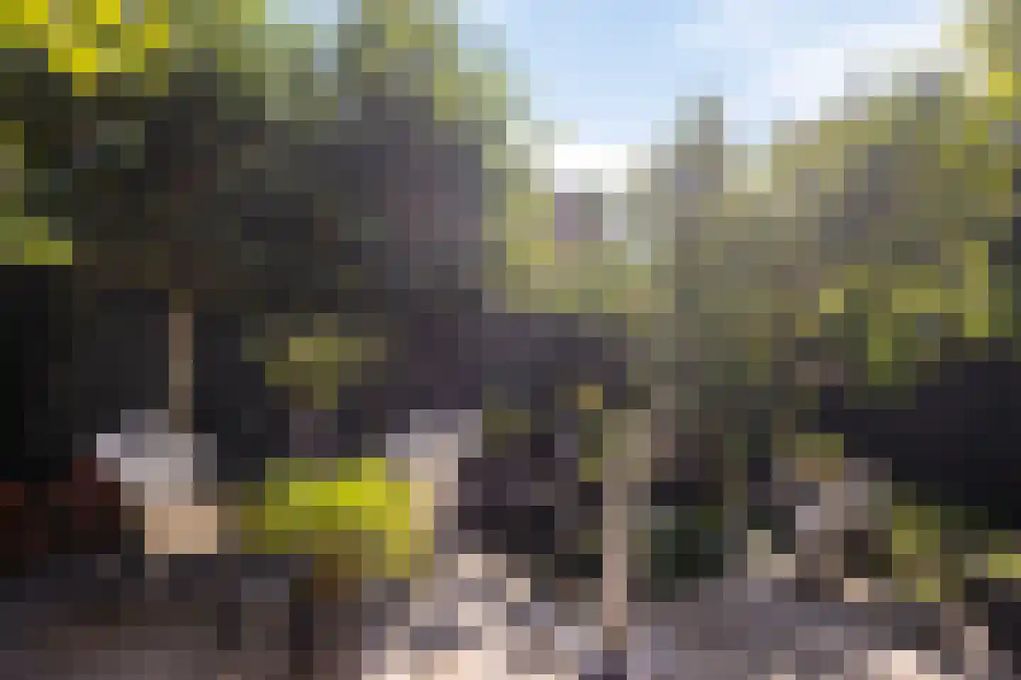 Looiersdreef 671 Apeldoorn thumbnail 32