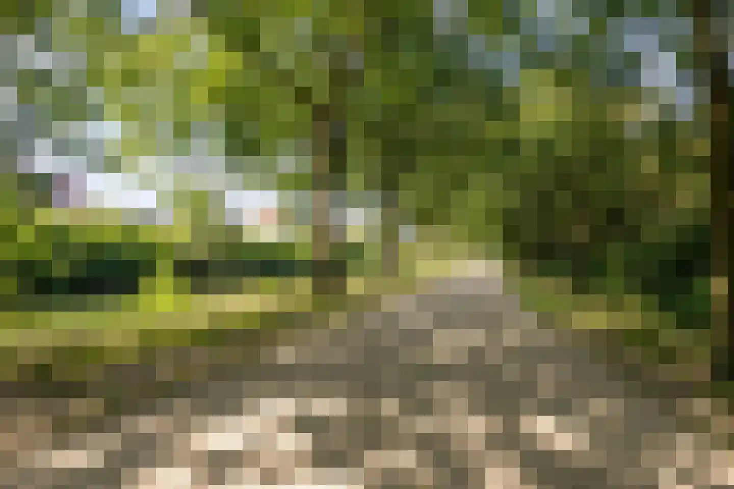 Looiersdreef 671 Apeldoorn thumbnail 41