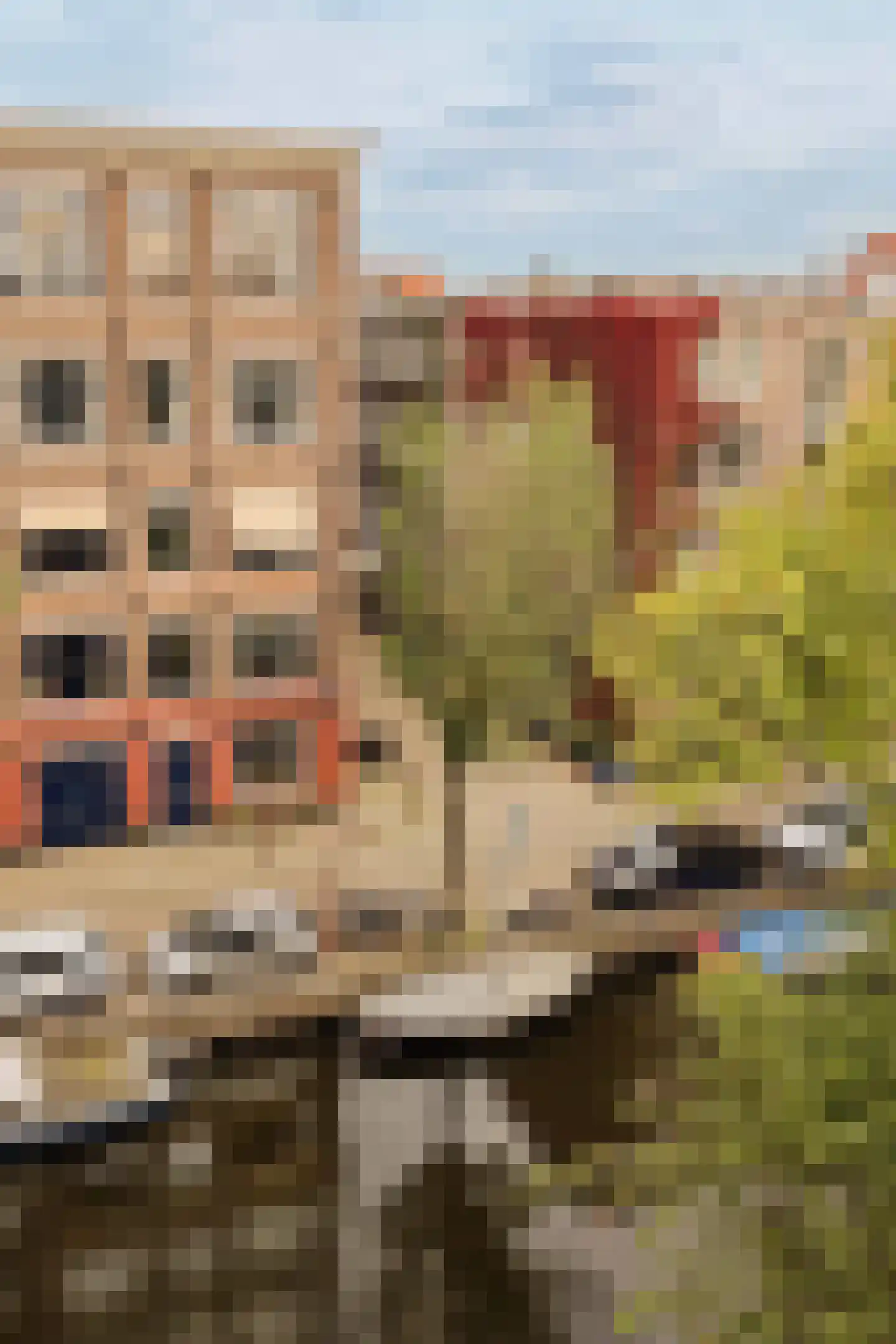 Looiersgracht 107 Amsterdam thumbnail 10