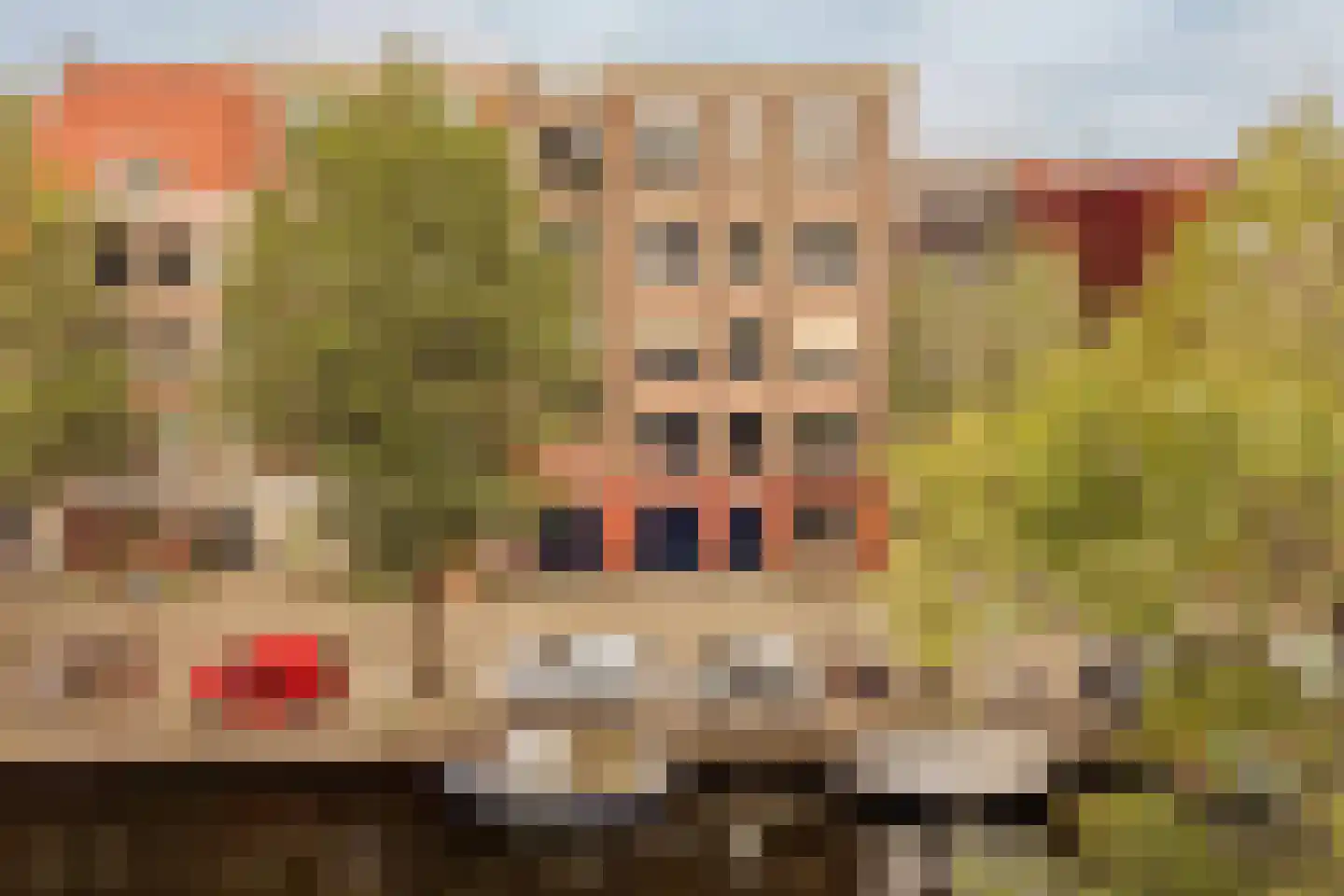 Looiersgracht 107 Amsterdam thumbnail 11