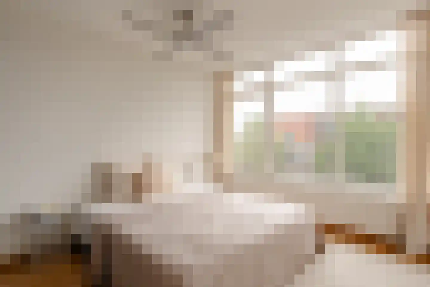 Looiersgracht 107 Amsterdam thumbnail 19