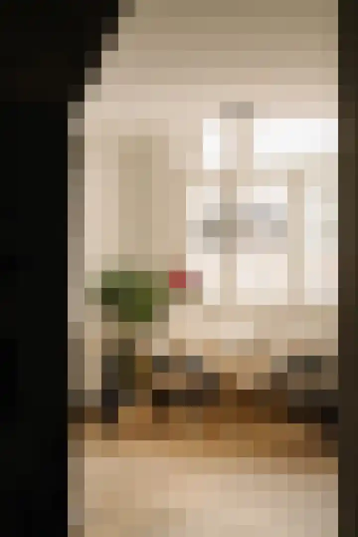 Looiersgracht 118 Amsterdam thumbnail 13