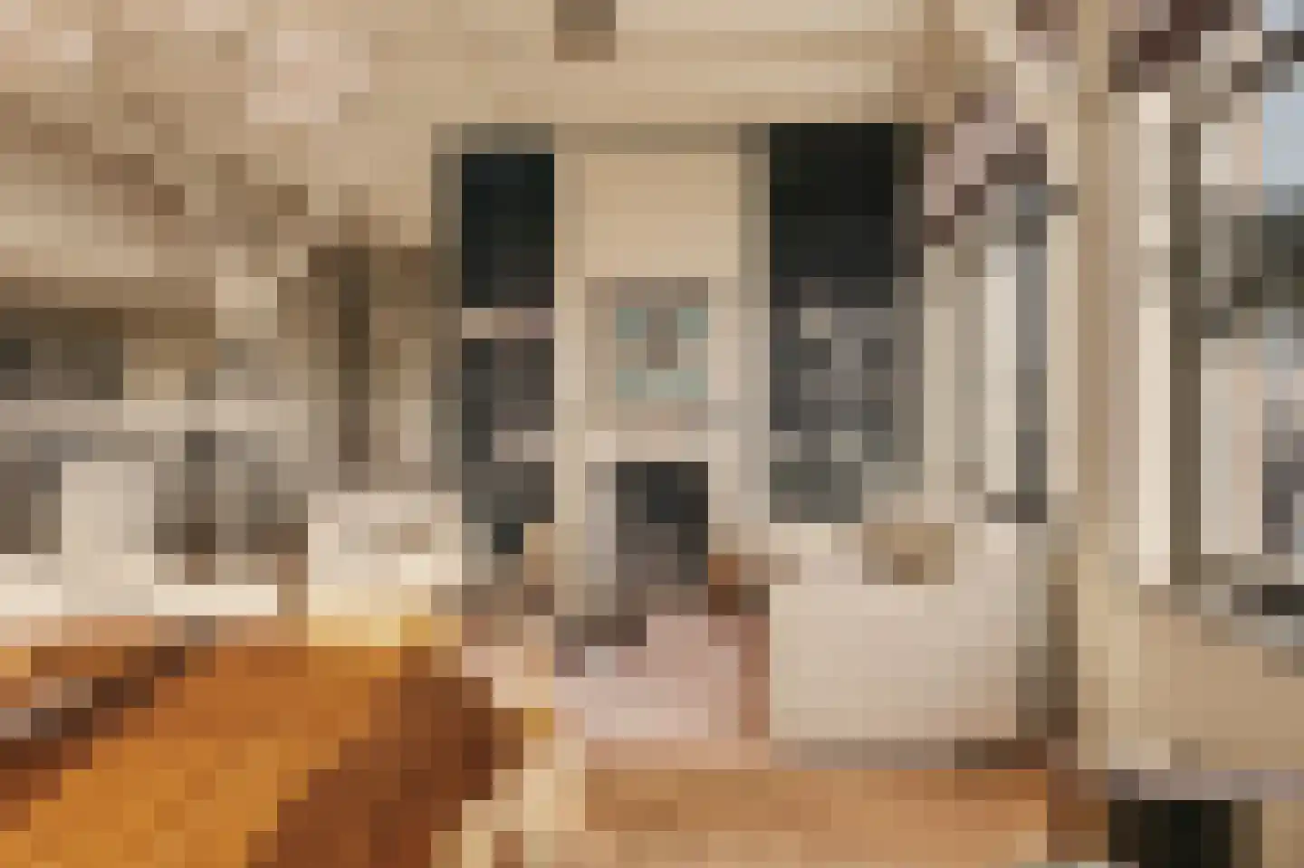 Looiersgracht 126 B Amsterdam thumbnail 10