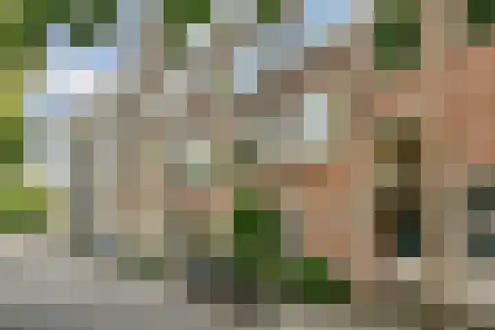 Looiersgracht 15 B Amsterdam thumbnail 26