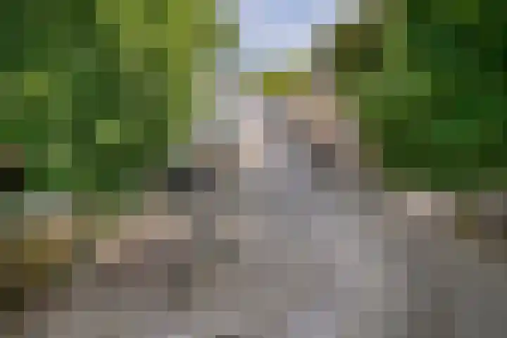 Looiersgracht 21 Maastricht thumbnail 16