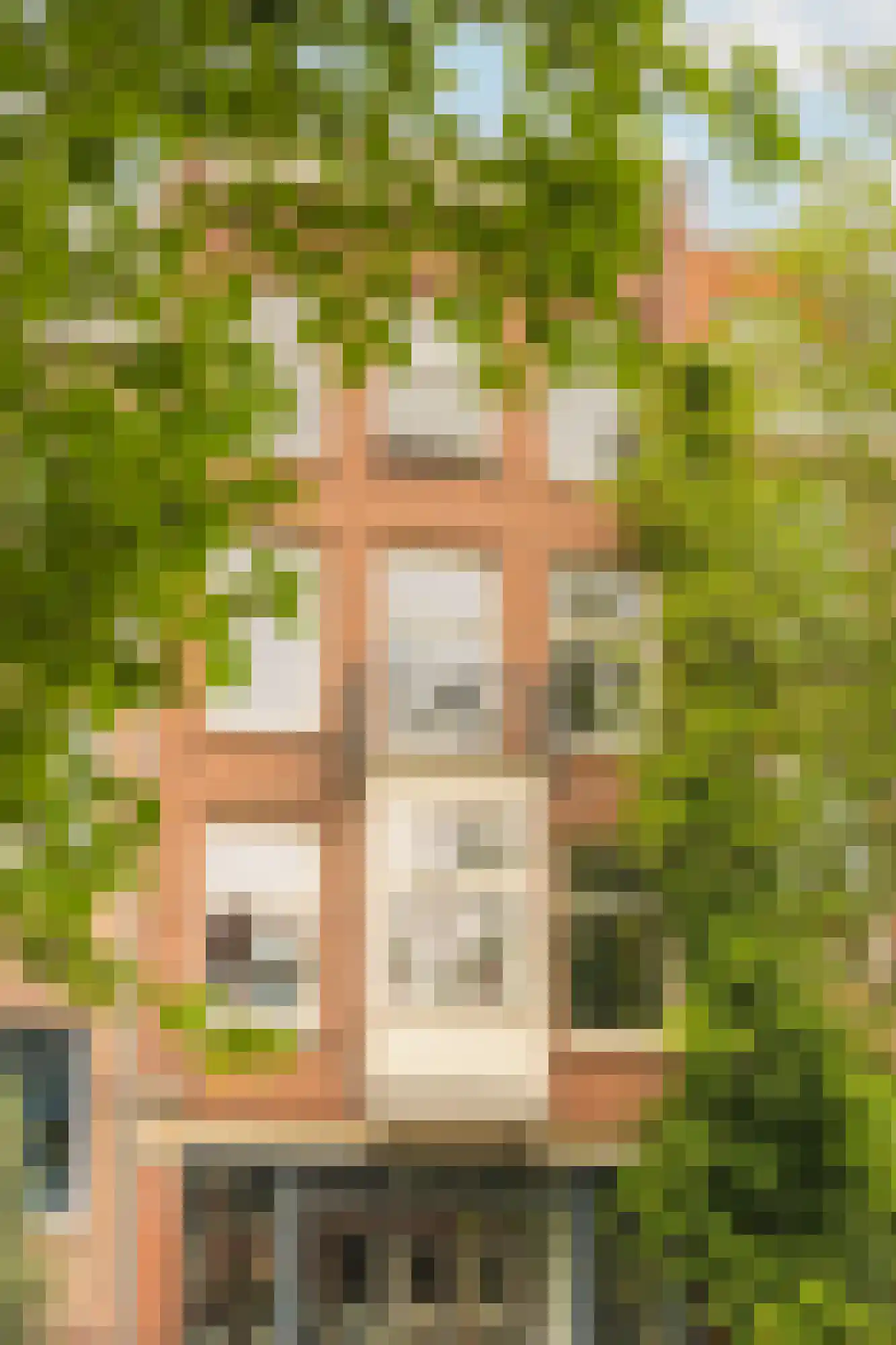 Looiersgracht 32 3 Amsterdam thumbnail 27