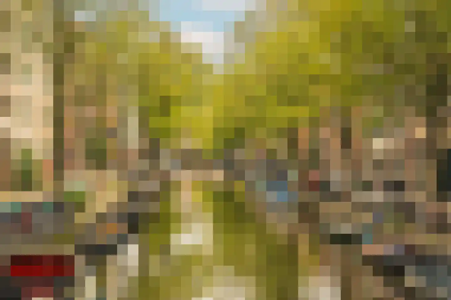 Looiersgracht 32 3 Amsterdam thumbnail 31