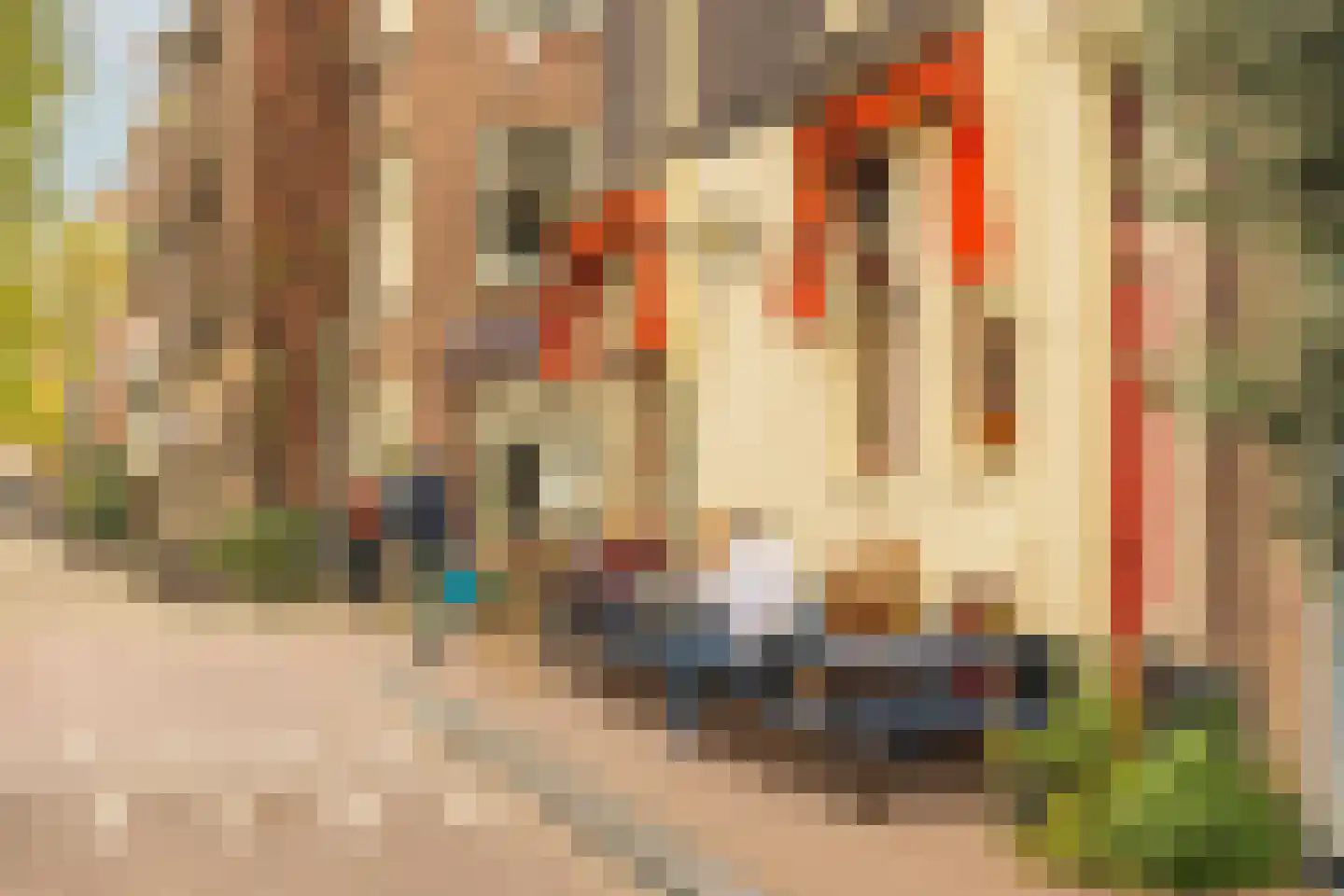 Looiersgracht 32 3 Amsterdam thumbnail 33