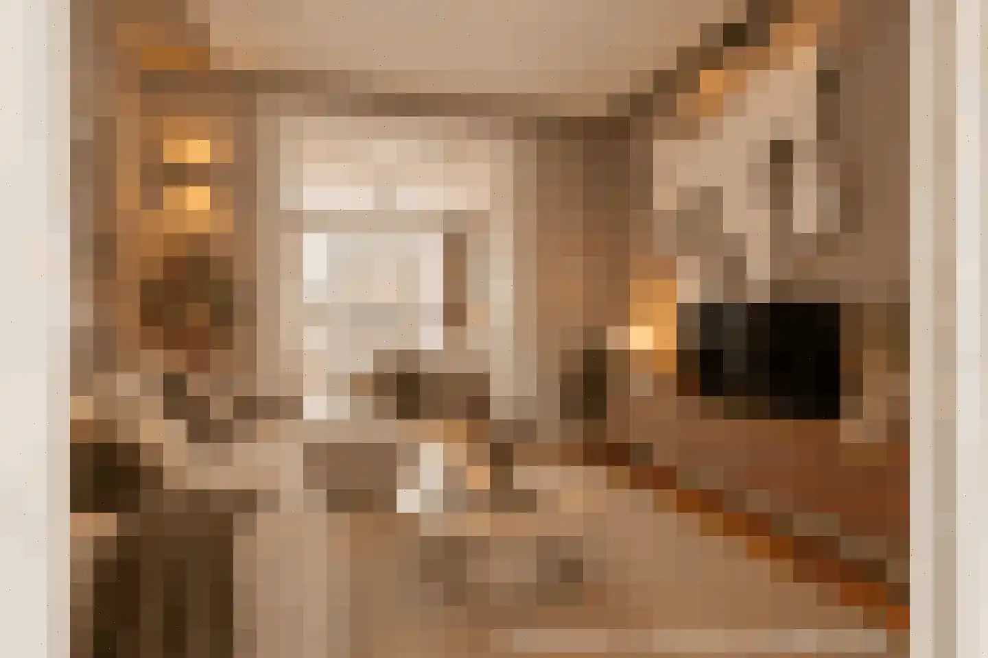 Looiersgracht 32 3 Amsterdam thumbnail 4