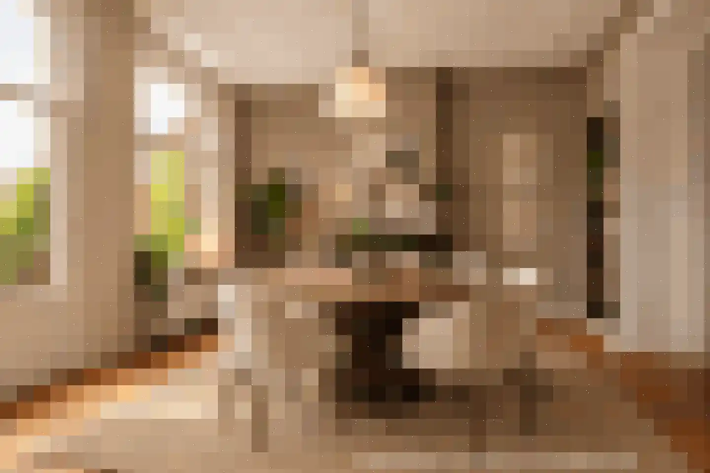Looiersgracht 32 3 Amsterdam thumbnail 8