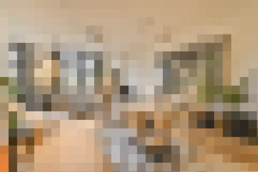 Looiersgracht 39 Amsterdam thumbnail 4