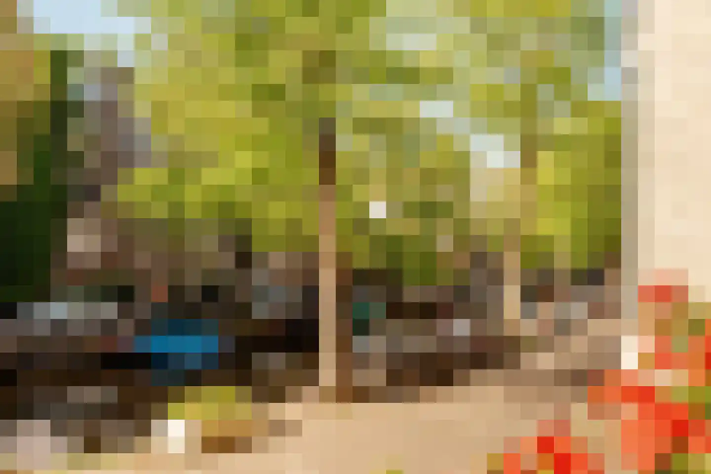 Looiersgracht 83 Amsterdam thumbnail 12