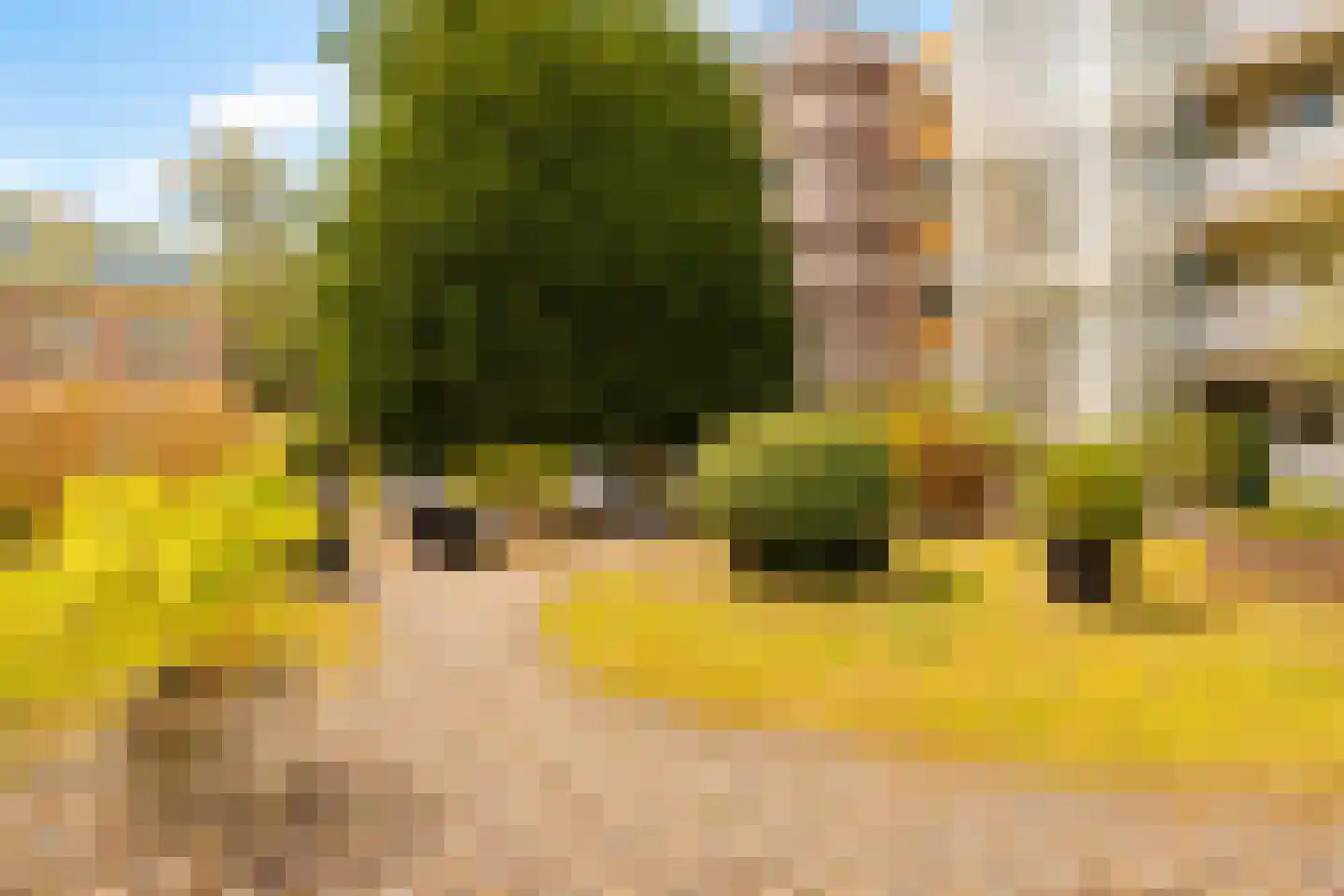 Looiersgracht 83 Amsterdam thumbnail 28