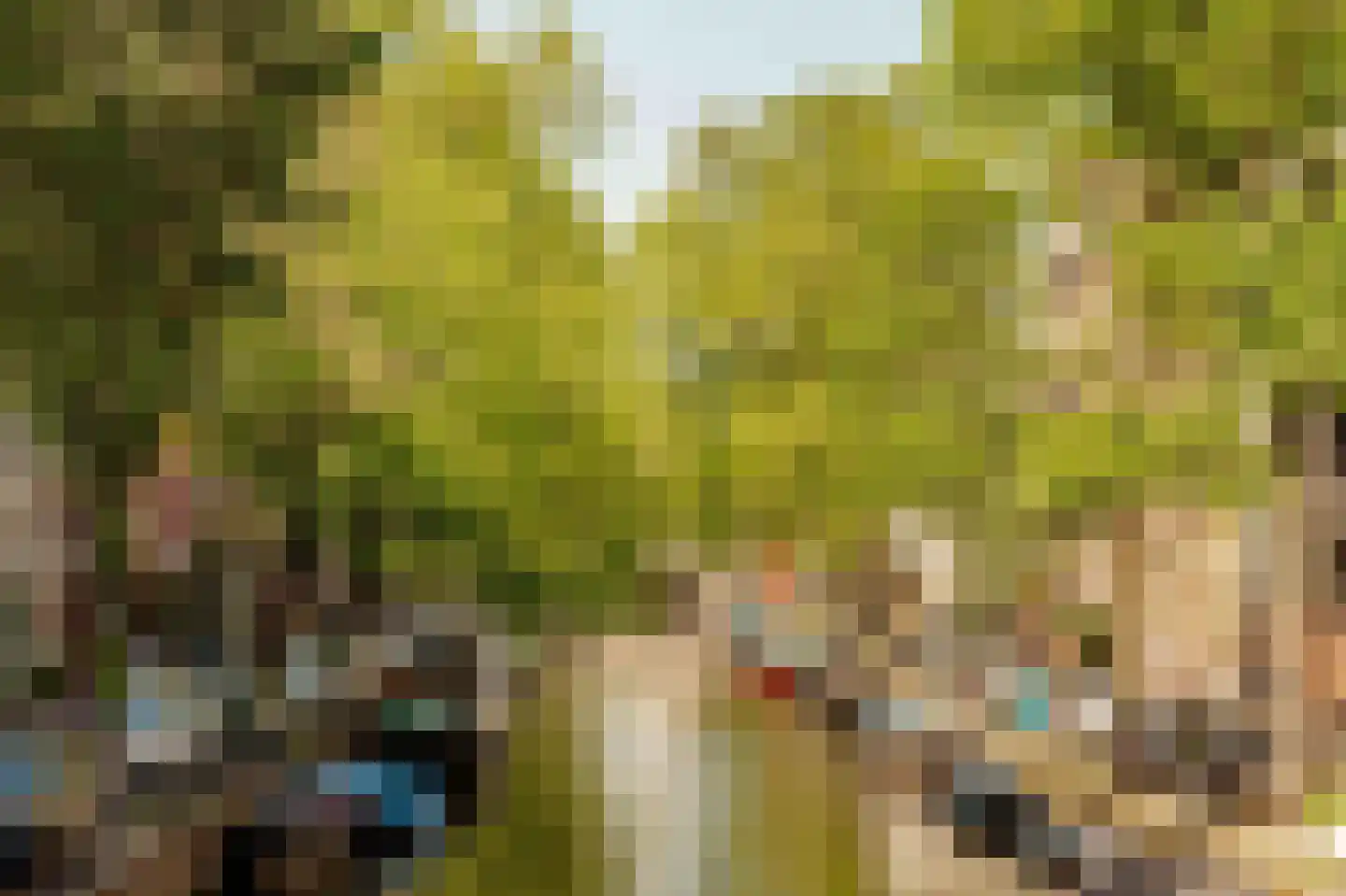 Looiersgracht 83 Amsterdam thumbnail 31