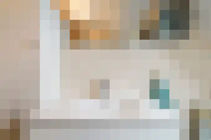 Looiershof 21 Esch thumbnail 36