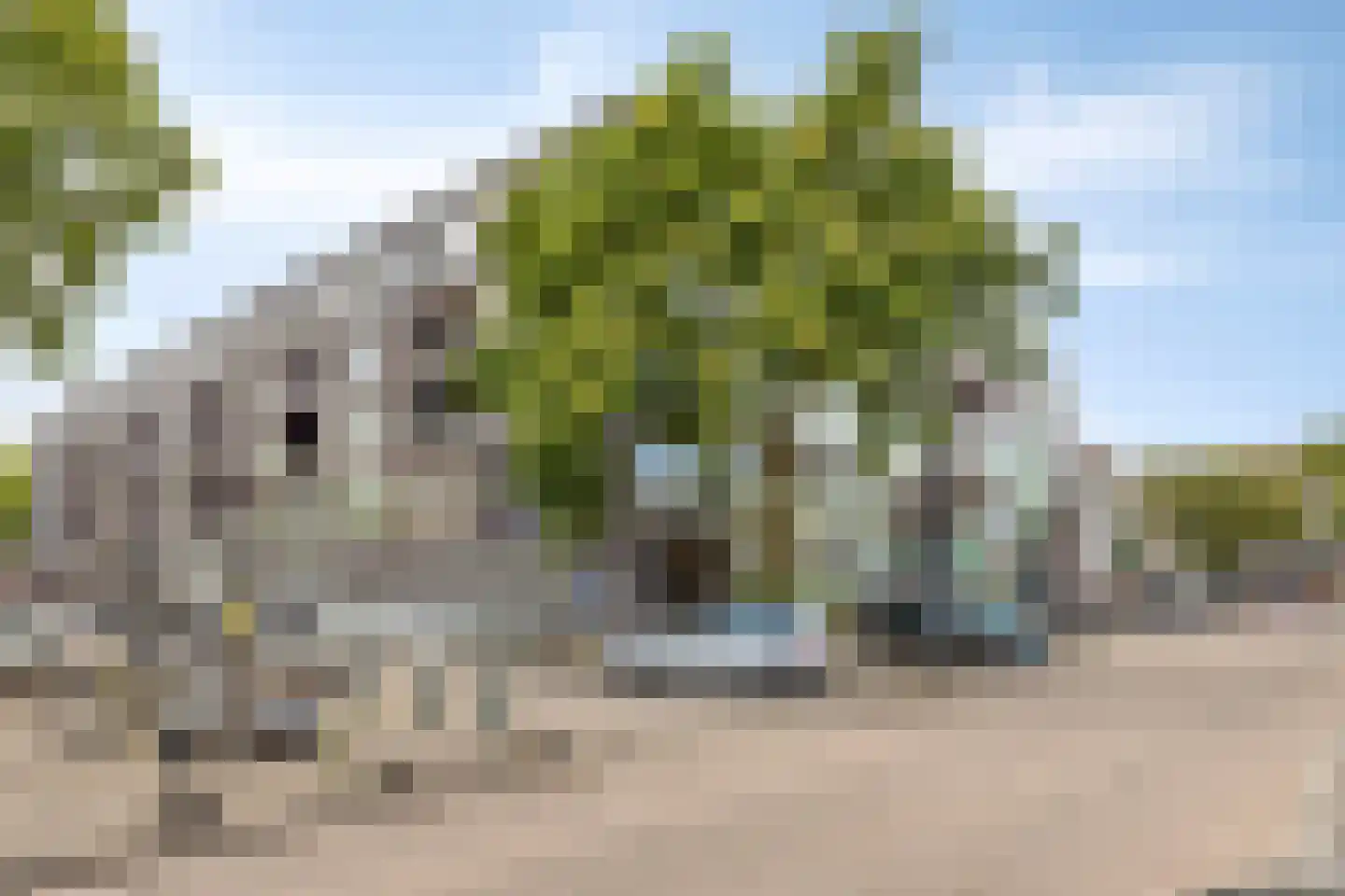 Looiershof 31 Rotterdam thumbnail 30