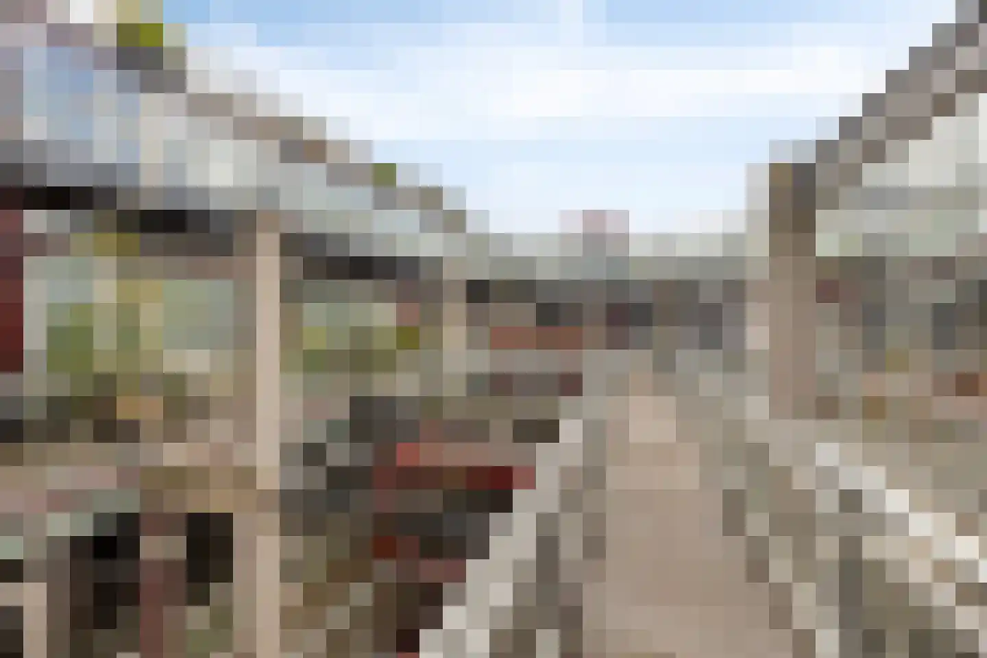 Looiershof 31 Rotterdam thumbnail 6