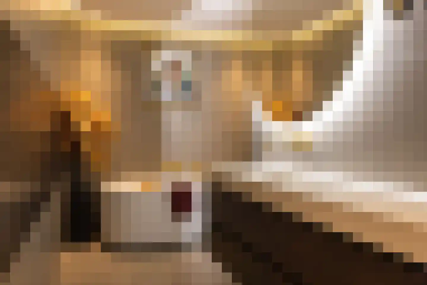 Looiershof 40 Rotterdam thumbnail 16
