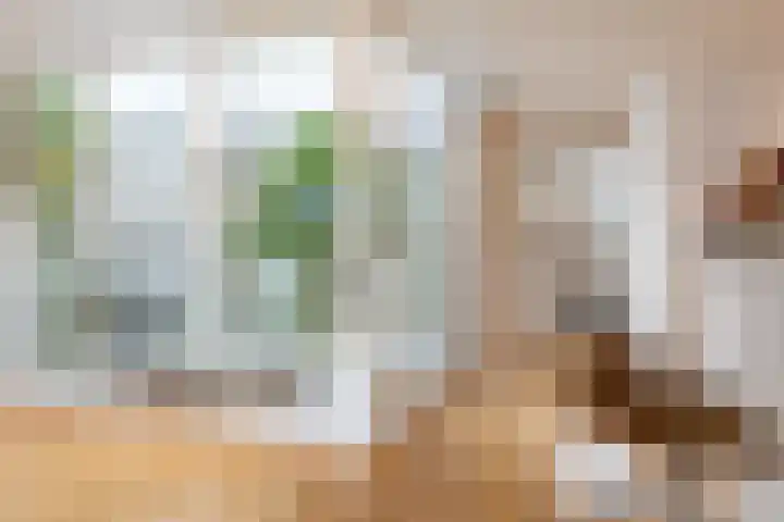 Looiershof 47 Rotterdam thumbnail 17