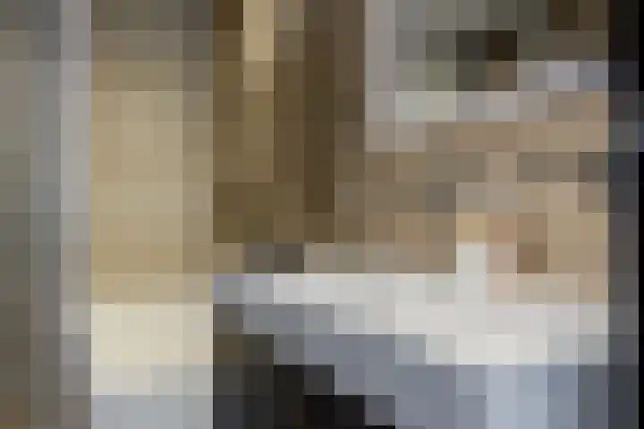 Looiershof 47 Rotterdam thumbnail 30