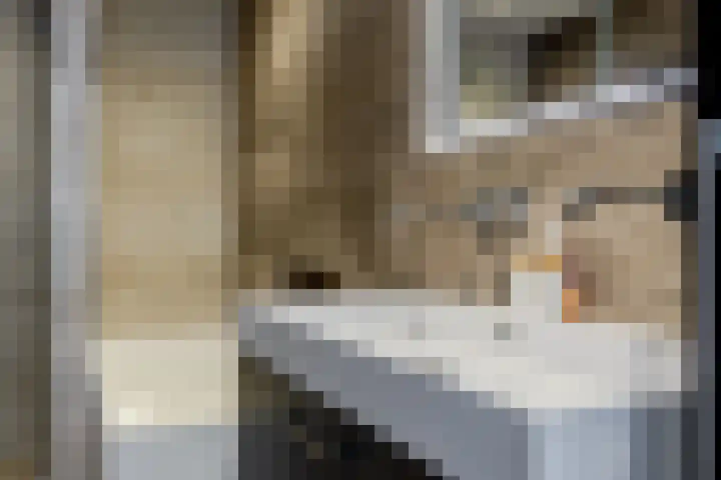 Looiershof 47 Rotterdam thumbnail 31