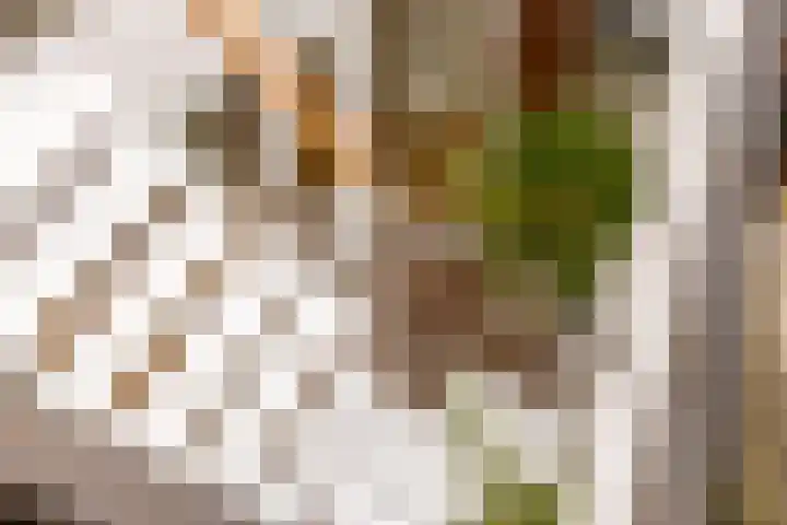 Looiershof 47 Rotterdam thumbnail 34