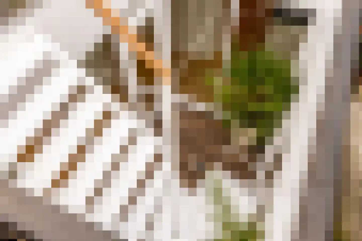 Looiershof 47 Rotterdam thumbnail 35