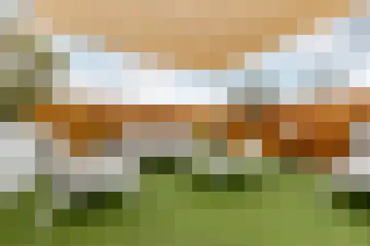 Looiershof 47 Rotterdam thumbnail 35