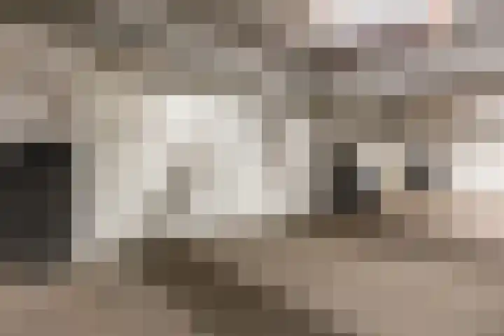 Looiershof 47 Rotterdam thumbnail 37