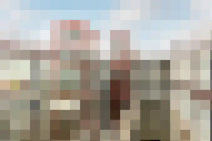 Looiershof 47 Rotterdam thumbnail 39