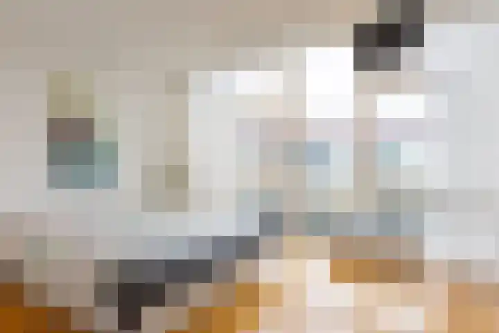 Looiershof 47 Rotterdam thumbnail 5