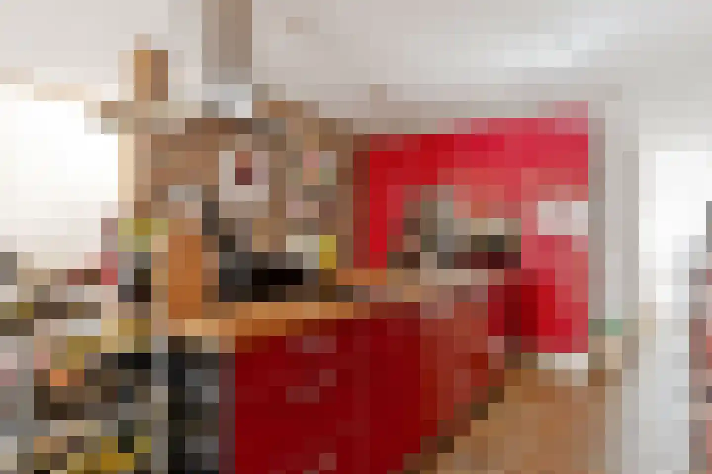 Looiershof 48 Rotterdam thumbnail 17