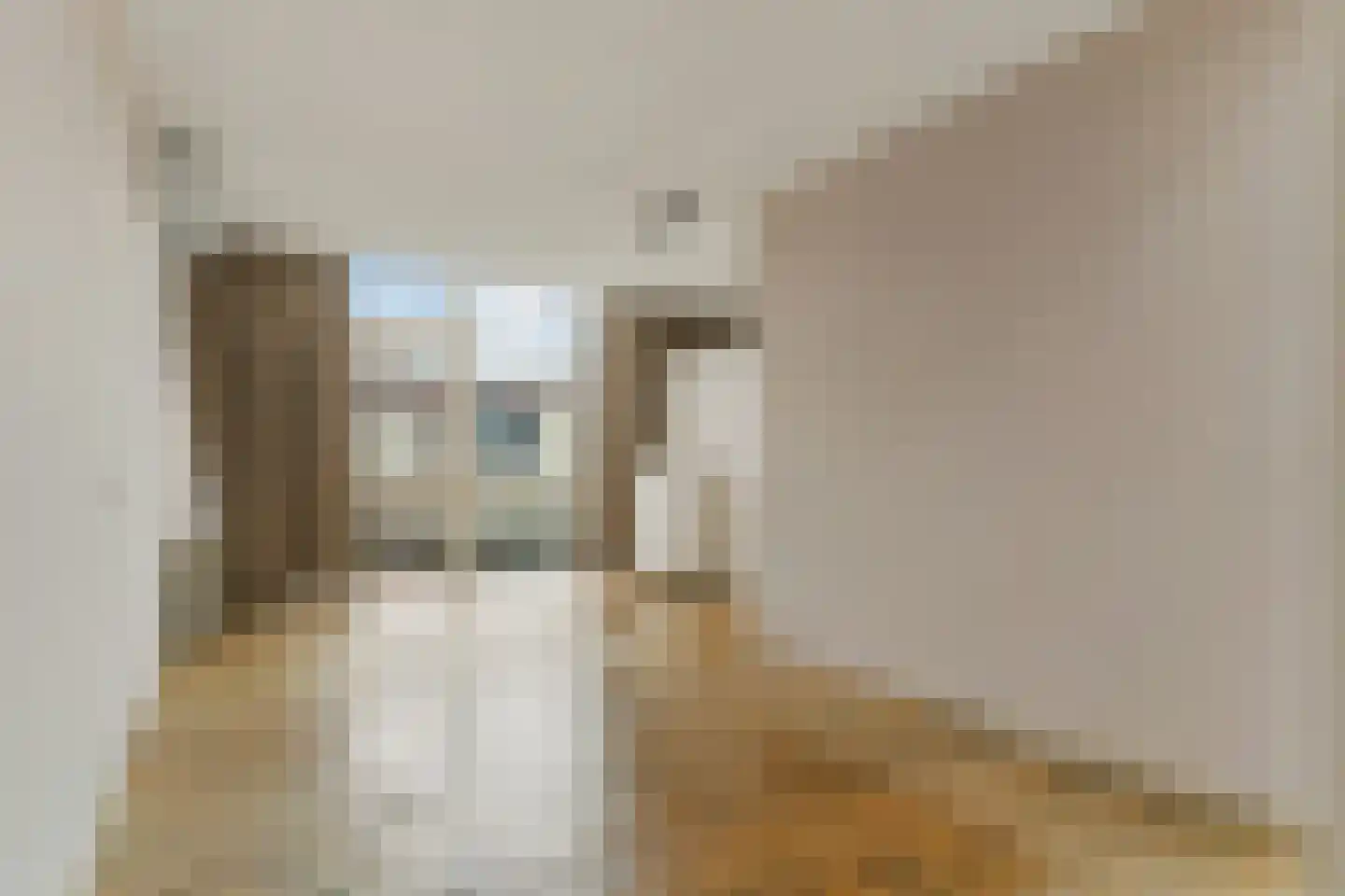 Looiershof 48 Rotterdam thumbnail 36