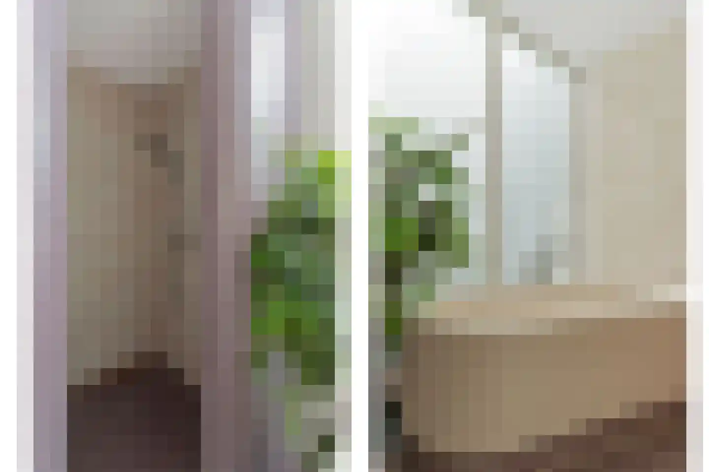 Looiershof 48 Rotterdam thumbnail 41