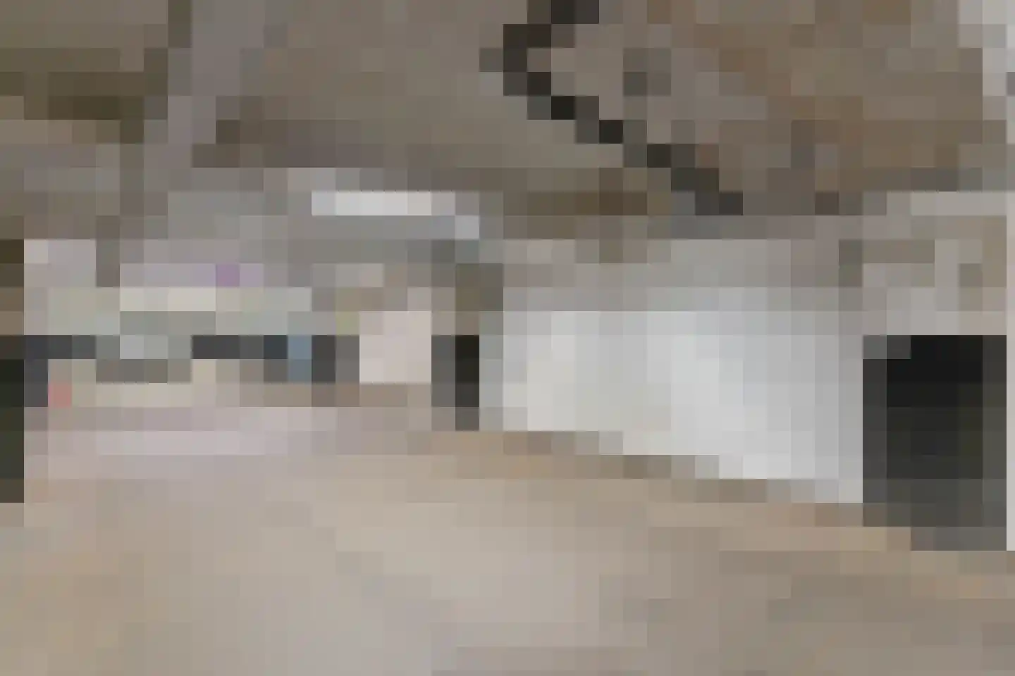 Looiershof 48 Rotterdam thumbnail 43