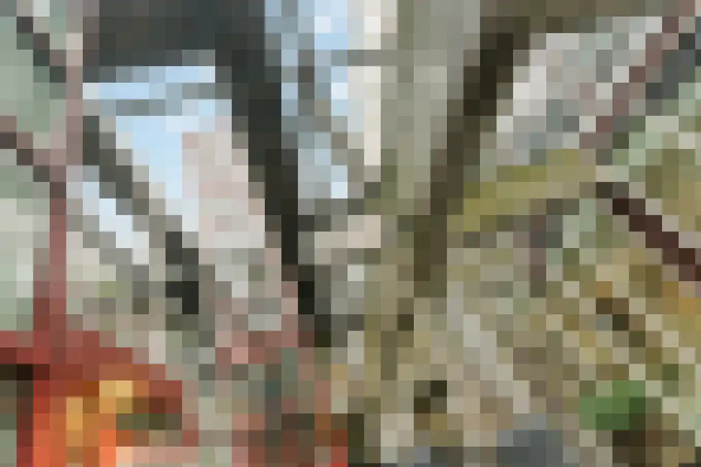Looiershof 48 Rotterdam thumbnail 47