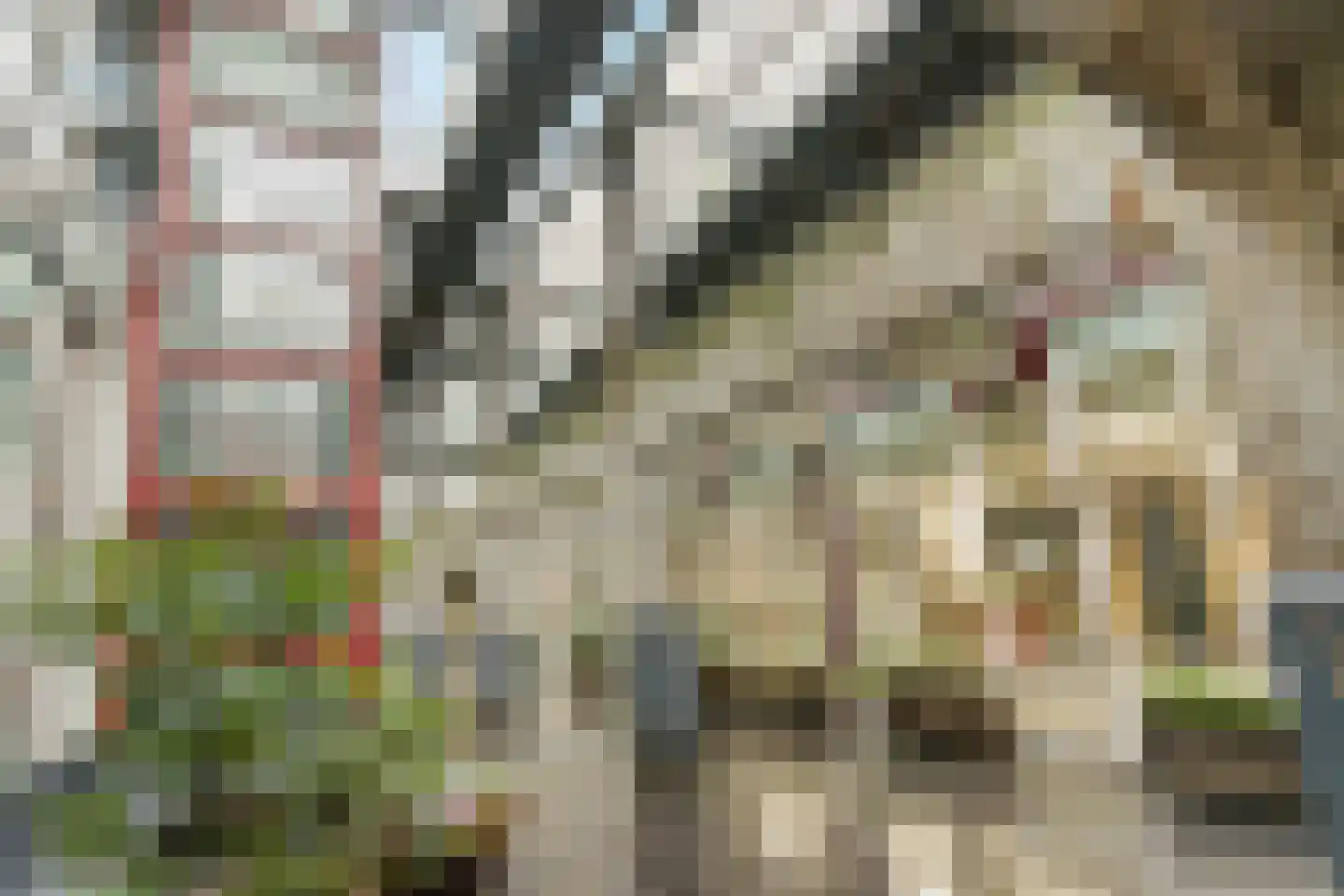 Looiershof 48 Rotterdam thumbnail 7