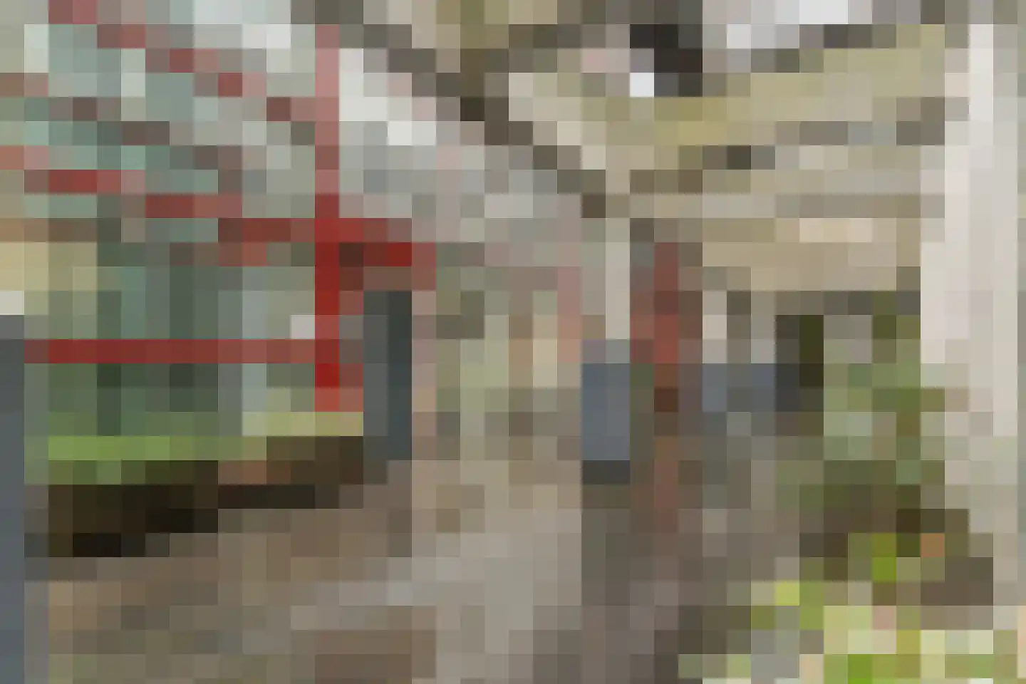 Looiershof 48 Rotterdam thumbnail 8