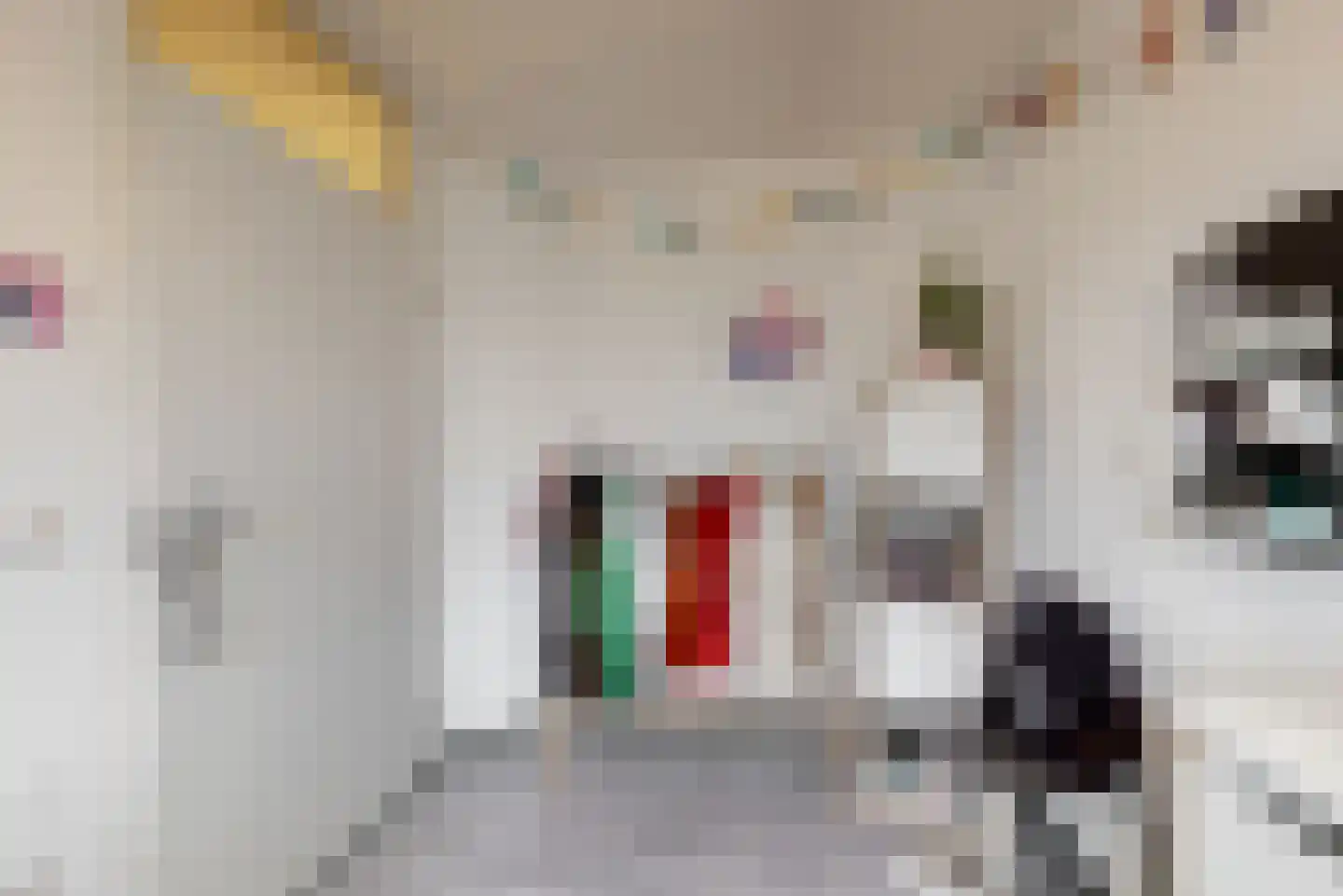 Looiershof 7 Geleen thumbnail 15