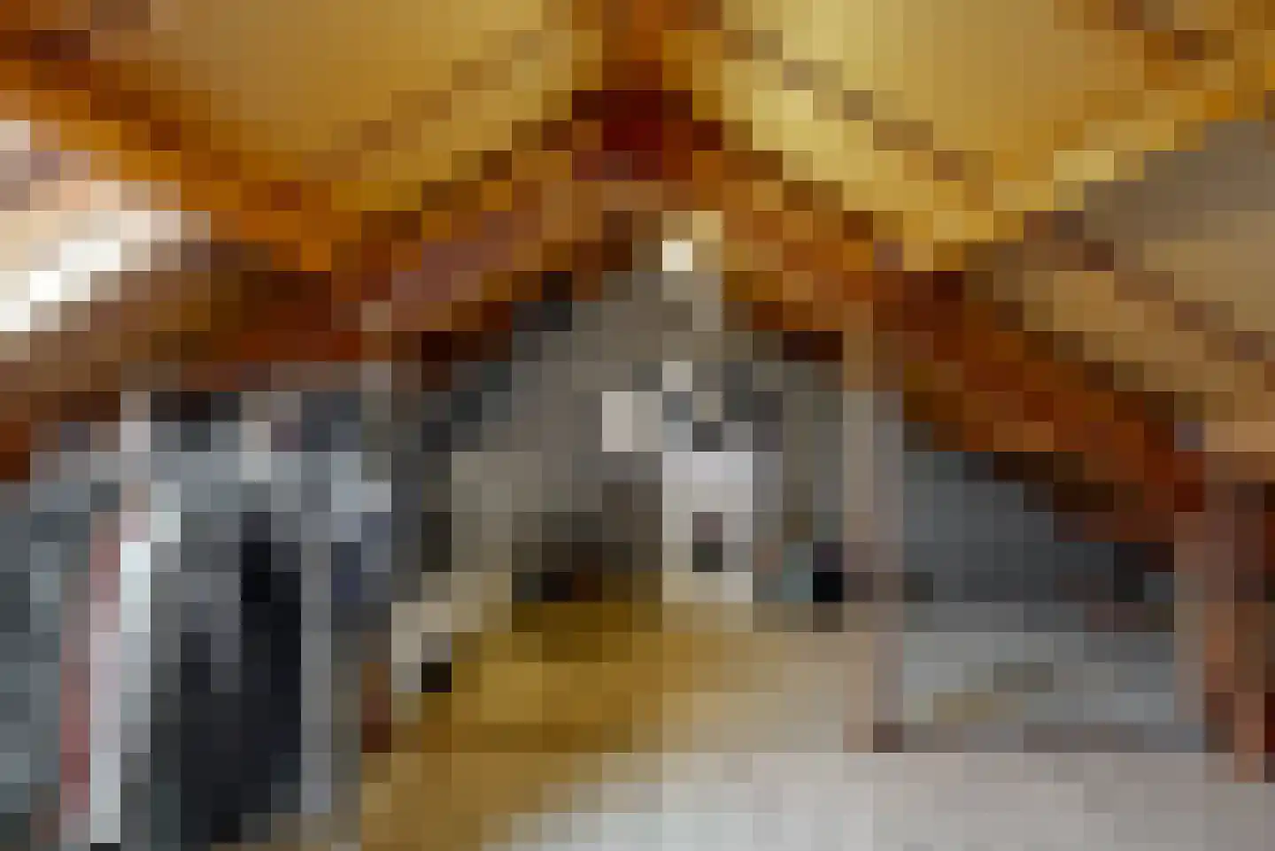Looiershof 7 Geleen thumbnail 26