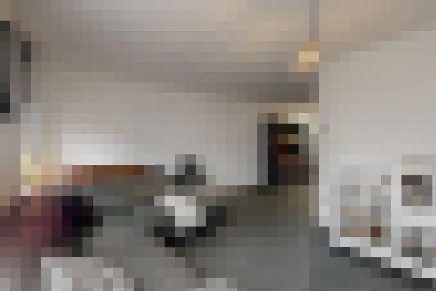 Looiershof 7 Geleen thumbnail 6