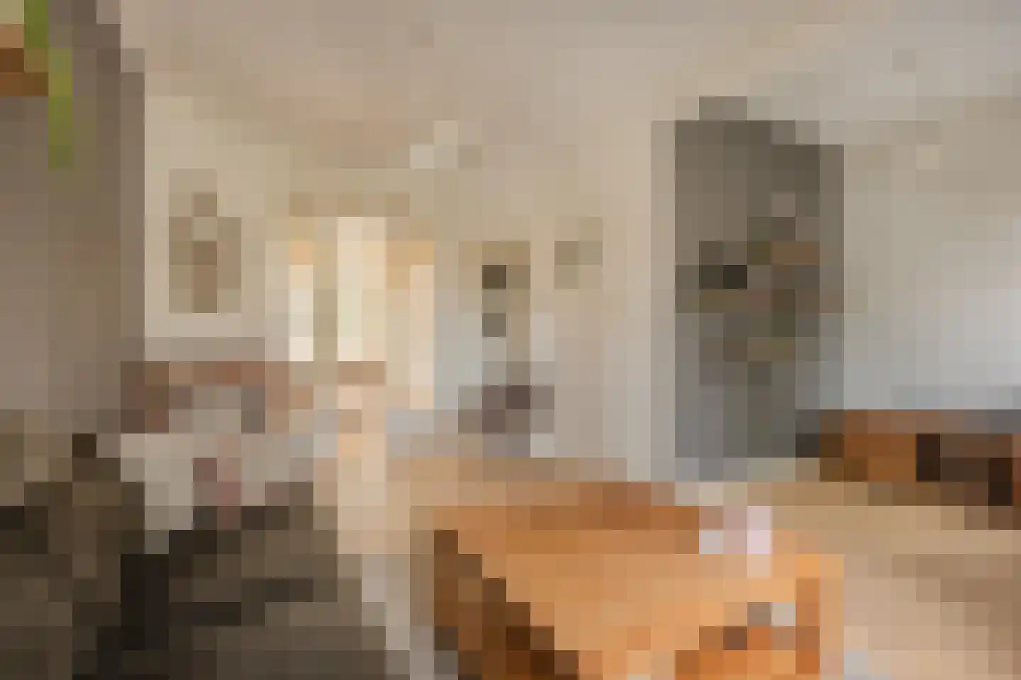 Looierslaan 111 Voorburg thumbnail 10