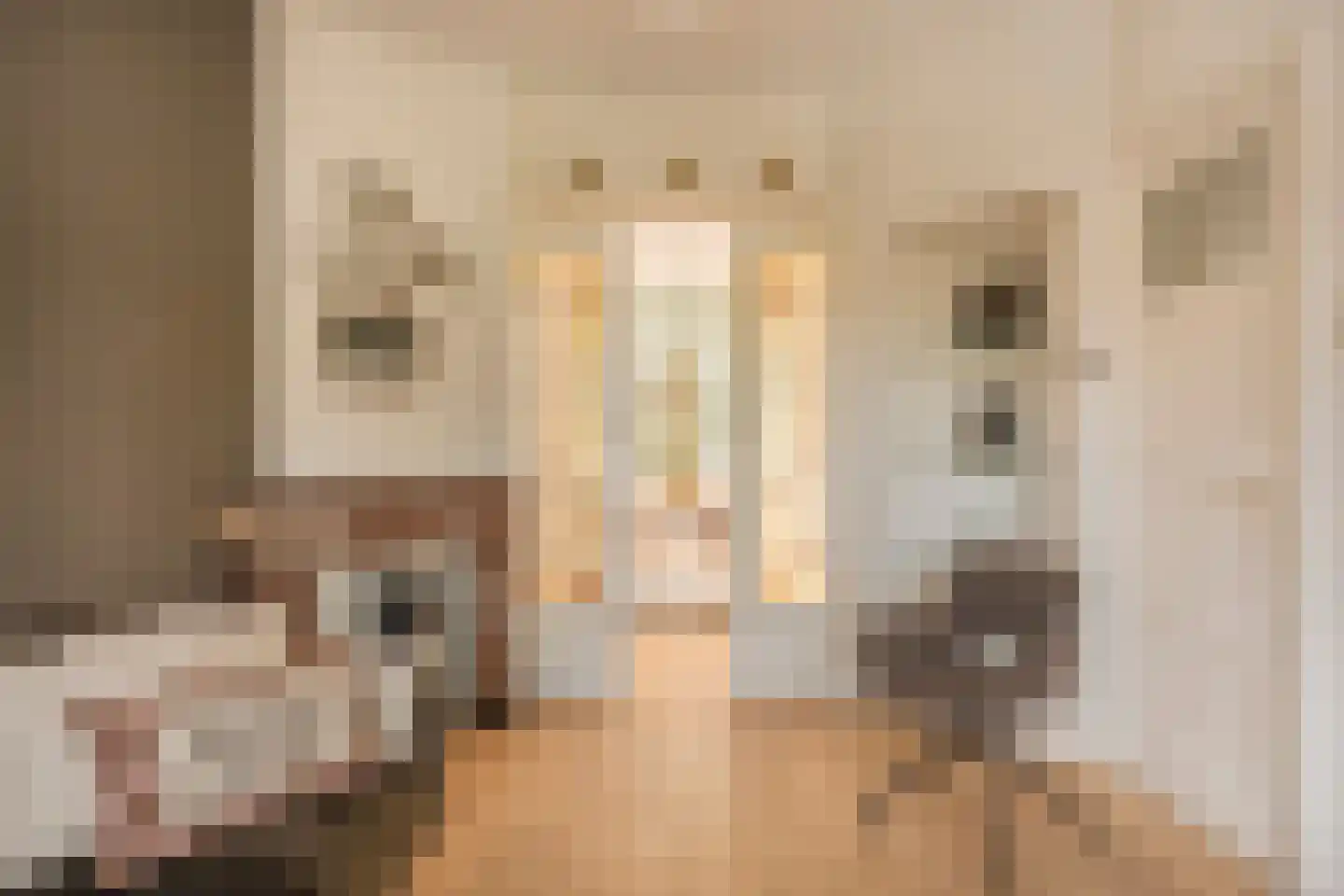 Looierslaan 111 Voorburg thumbnail 11