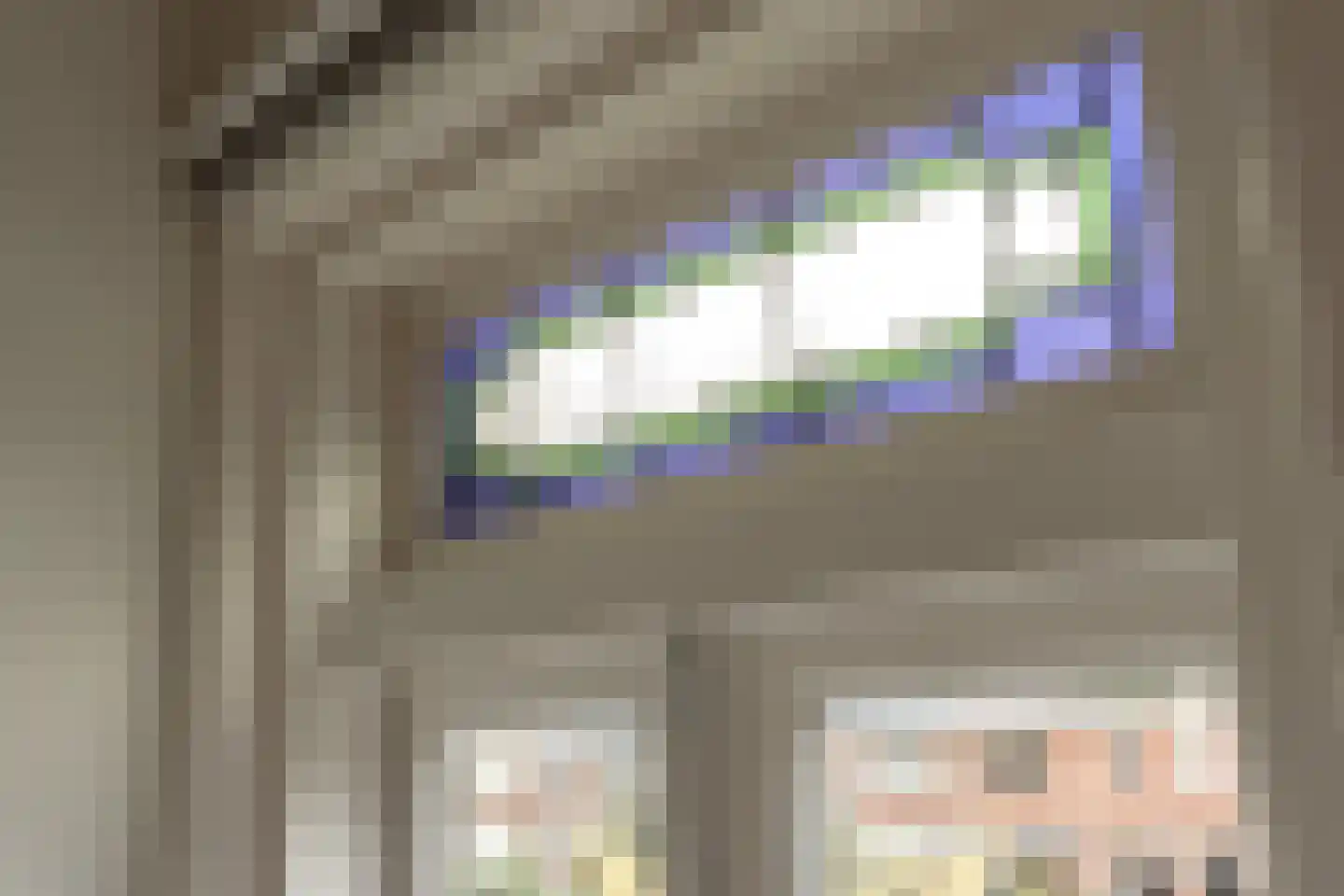 Looierslaan 111 Voorburg thumbnail 17