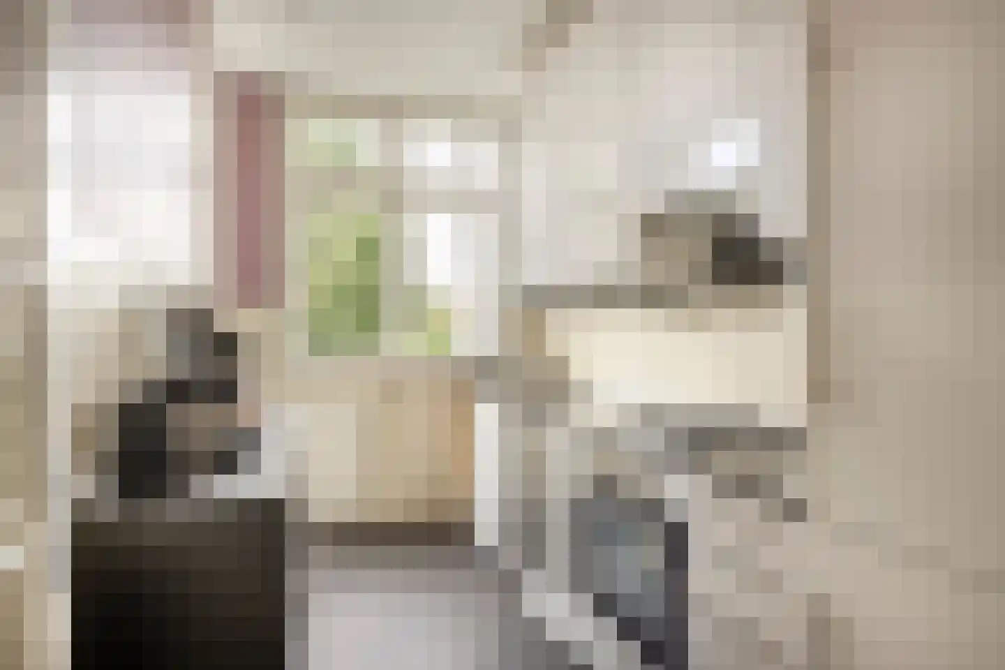 Looierslaan 111 Voorburg thumbnail 18