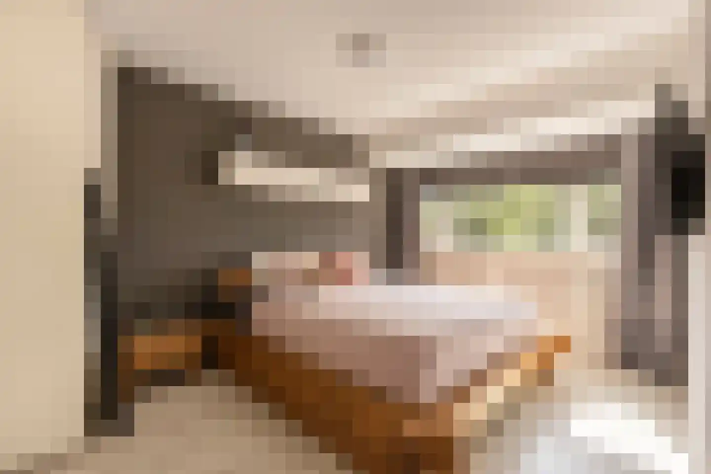 Looierslaan 111 Voorburg thumbnail 22