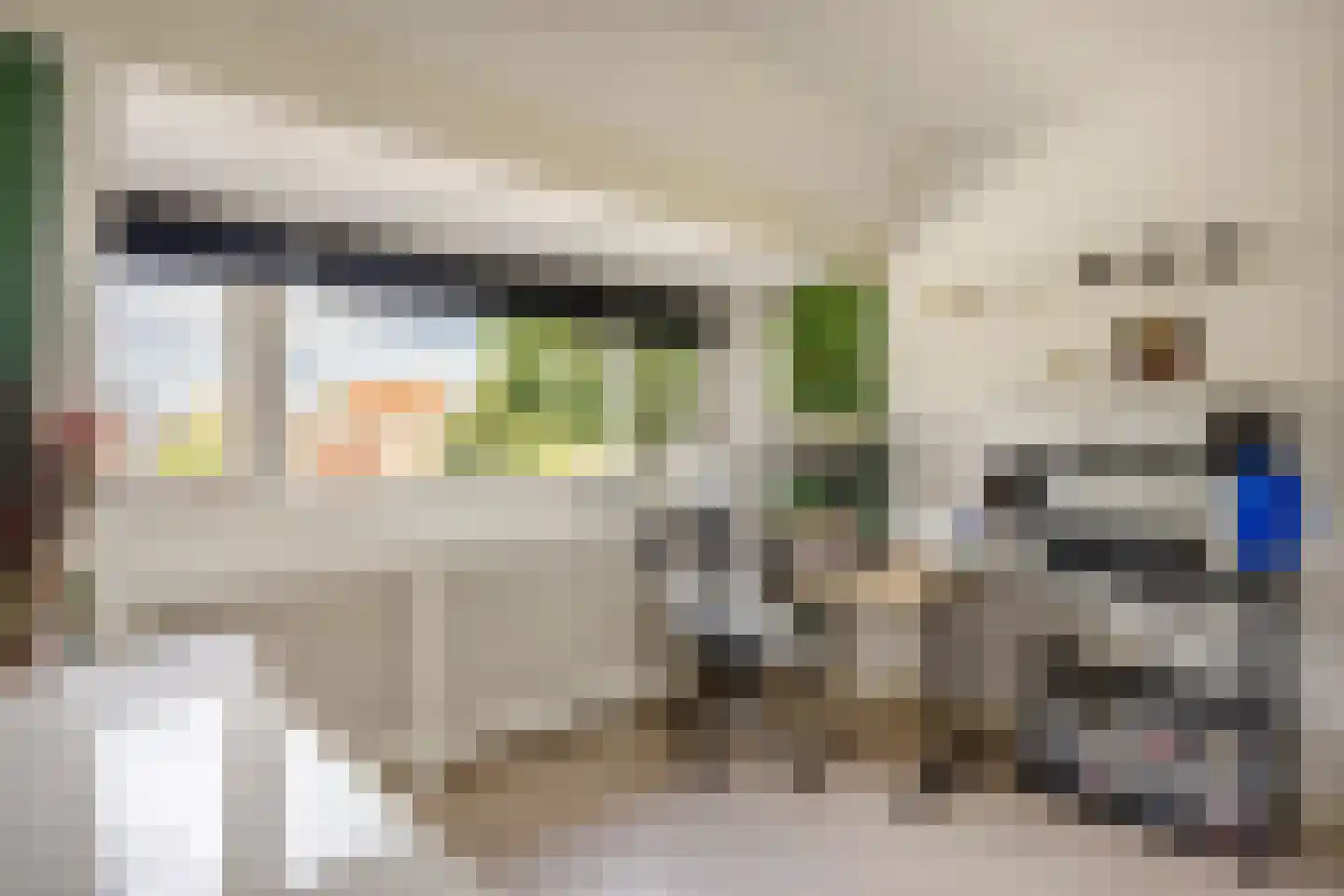 Looierslaan 111 Voorburg thumbnail 24