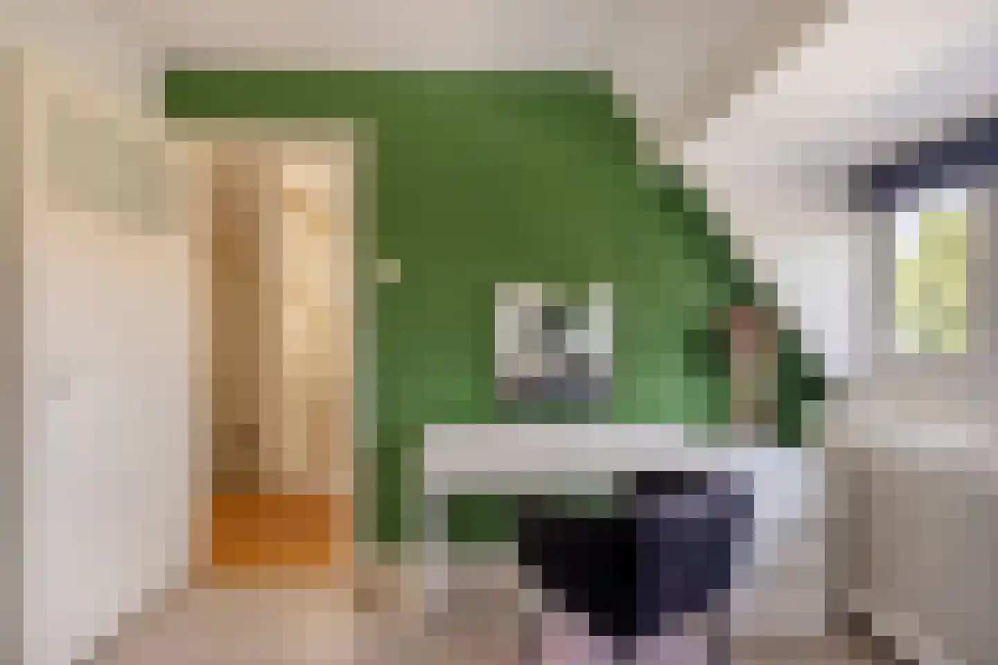 Looierslaan 111 Voorburg thumbnail 25